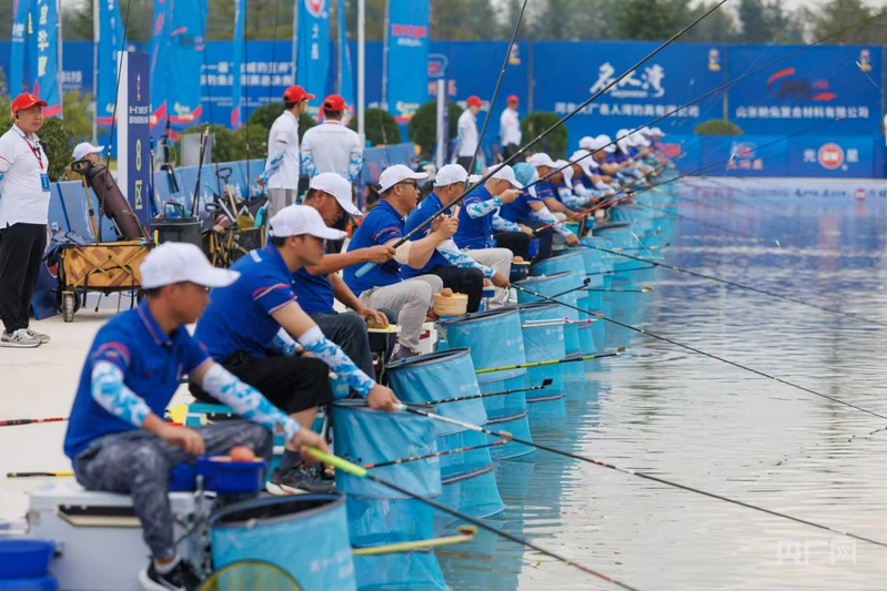 将中国的户, 重感受以及, 行业洞察 将中国的户, 重感受以及, 行业洞察